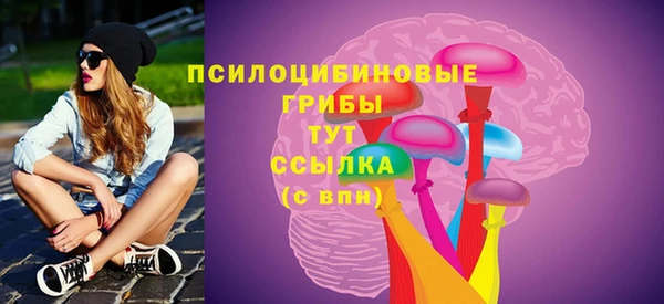 ГАЛЛЮЦИНОГЕННЫЕ ГРИБЫ Магас