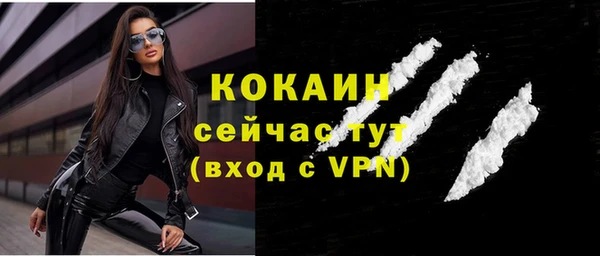 ГАЛЛЮЦИНОГЕННЫЕ ГРИБЫ Магас