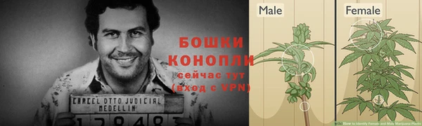 ГАЛЛЮЦИНОГЕННЫЕ ГРИБЫ Магас