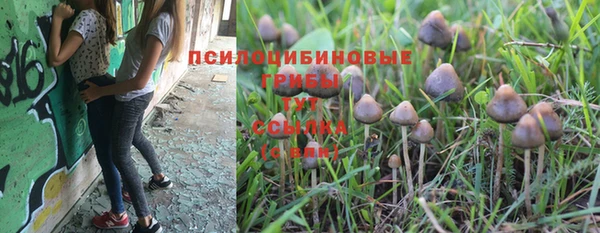 Альфа ПВП Майский