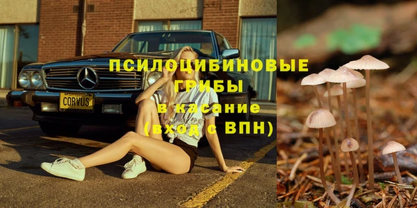 а пвп мука Магадан