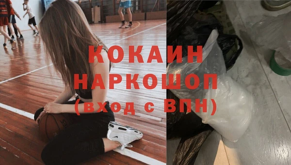 ГАЛЛЮЦИНОГЕННЫЕ ГРИБЫ Магас