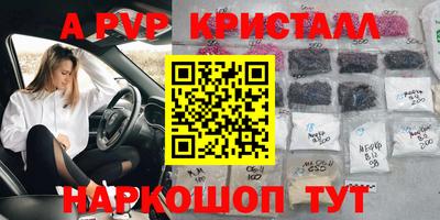 прущие грибы Кингисепп