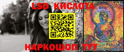прущие грибы Кингисепп