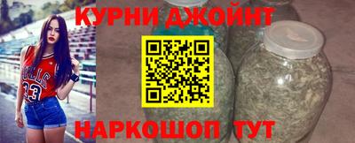 прущие грибы Кингисепп