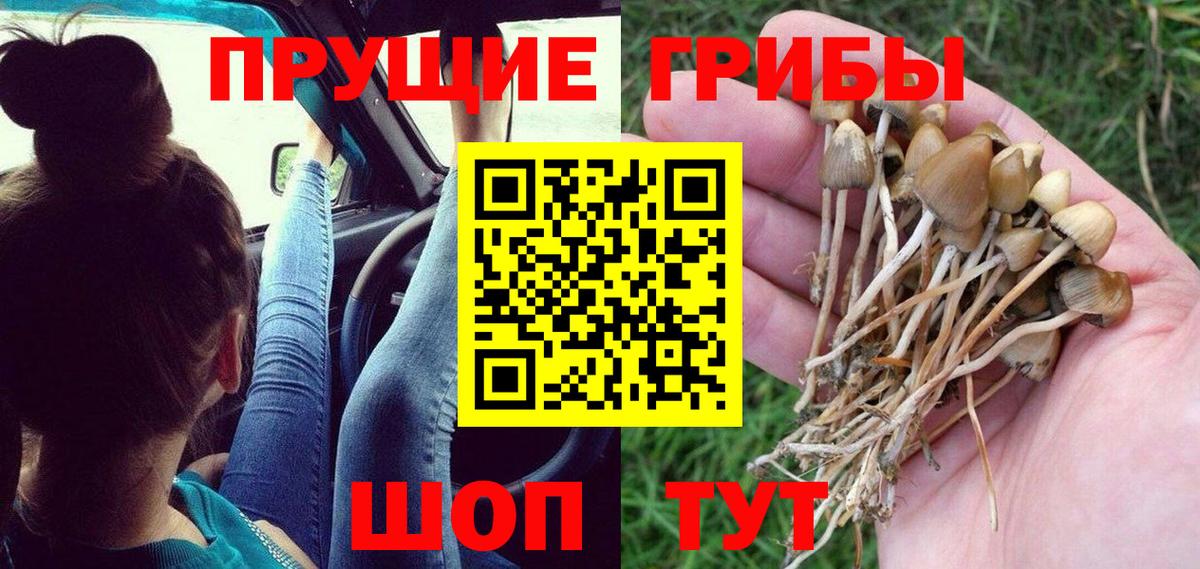 Псилоцибиновые грибы ЛСД  Вход с VPN  Феодосия 